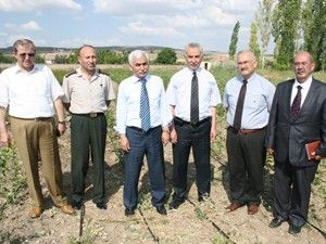 Aksaray'da 15 bin fidan üretildi
