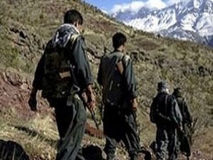 Terör örgütü PKK'ya darbe