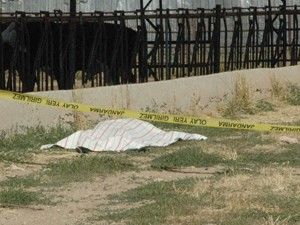 Hayvan çiftliğinde acı ölüm