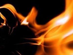 Mobilyacılar sitesindeki ot yangını itfaiyeyi alarma geçirdi