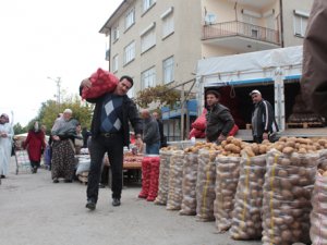 ‘Kışlık’ hareketliliği