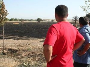 Beyşehir'de ekili 150 dekar alan yandı