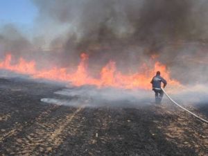 Anız yakarken yakalandı