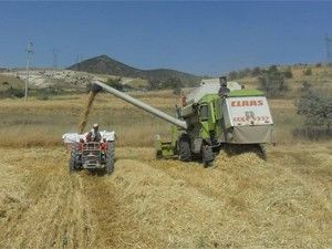 Seydişehir'de ekin talaşları değerlendiriliyor