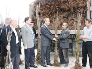 İl Özel İdare'den çiftçilere 124 bin fidan