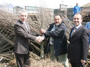 Çiftçilere meyve fidanı dağıtımı