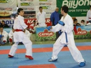 Karate heyecanı Konyada