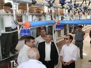 Hüyükte hayvancılık canlanacak