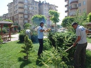 Karatay'da yeşil alanlar yenileniyor