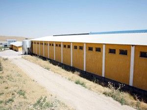 Tavuk çiftliğine kokuyu önleyecek sistem yapılacak