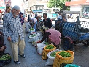 Dalından koparıp müşteriye sunuyorlar