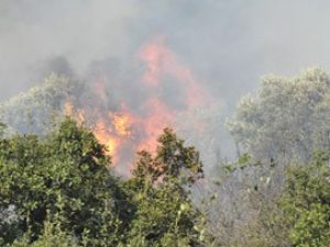Çanakkale'de orman yangını çıktı