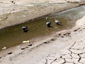 İtfaiye ekipleri kuşlar için ırmağa su sıktı