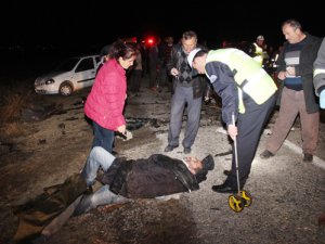 Yola Çıkan Domuz Faciaya Neden Oldu: 3 Ölü, 2 Yaralı