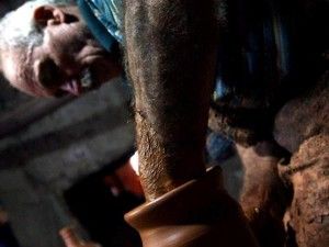 Sille'nin son çömlek ustası mücadele veriyor