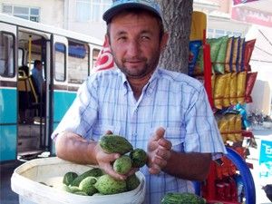 Hırtlaklar yurt dışına da gönderiliyor