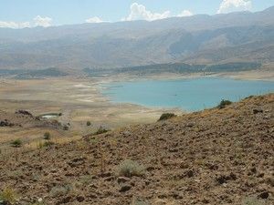 Ereğli'de 2 milyon fidan toprakla buluşacak