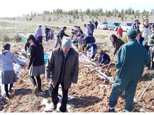 Daha yeşil bir Aksaray için fidan dikimi artırıldı