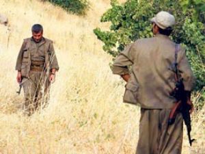 Şirvan'da bir terörist yakalandı