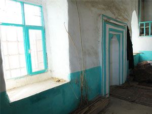 Kullanılmayan camide fidan büyüdü