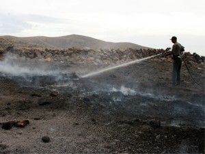 Kızılören'de orman yangını