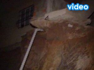 Çökme tehlikesi olan iki bina boşalttı