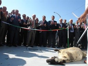 Ereğli Şekerde alım kampanyası başladı