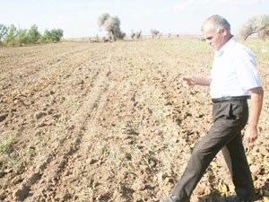 Anızların yalıkmasına son verilmesi gerekiyor