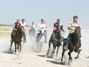 Mahalli At Yarışları yarın yapılacak