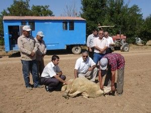 Gözlü Tarım İşletmesinde güz dönemi ekimleri başladı