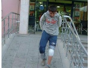 Kulu'da sokak köpekleri tehlike saçıyor