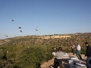 Tavşan, keklik ve su kuşu avı başladı
