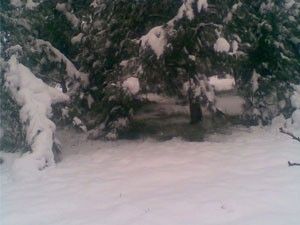 Kırklareli'nde kar yağışı