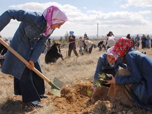 Meram Halk Eğitim fidan dikti