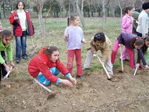 Kaşınhanı’da fidanlar toprakla buluştu