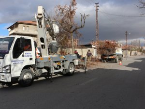 Karatay’da ağaçlar budanmaya başlandı