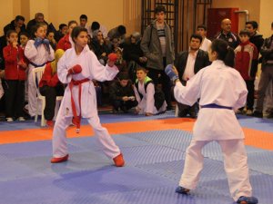 Okullar karatede mücadele etti