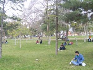 Konya hafta boyunca parçalı bulutlu olacak