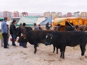Karatayda kurban kesim yerleri belli oldu