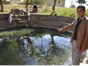 Kutsal olduğuna inanılan balıklar avlanmıyor
