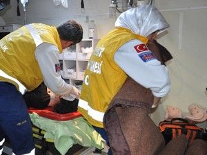 Otomobil, iki ineğe çarptı: 3'ü çocuk 5 kişi yaralandı