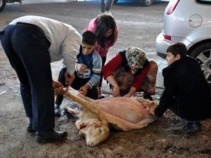 Hüyük'e plaj ve mesire alanı
