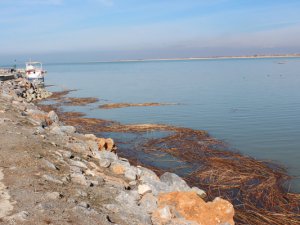 Beyşehir Gölü kıyılarındaki iyileştirme süreci sürecek