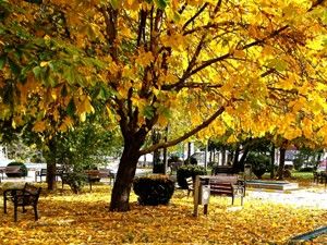 Konya'da sonbahar manzaraları