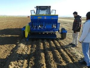 Sarayönü'nde deneme alanları yeniden ekildi