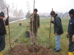Karatayda ağaçlandırma çalışmaları sürüyor