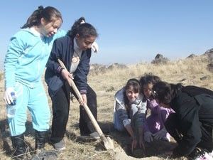 Karapınar'da 5 bin 400 fidan dikildi