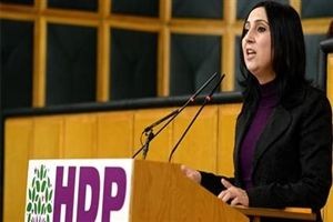 HDP: Türkiye terör örgütlerini koruyor