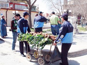 Karatay’da sahte lale soğanlarına el konuldu