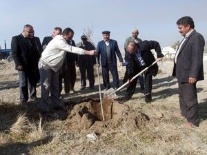 Karapınar'da 2 bin 500 fidan toprakla buluşturuldu